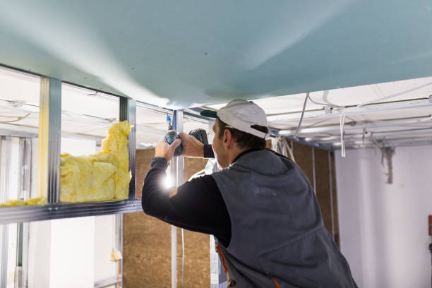 Best Insulation Contractors for Homes  in Wymore, NE