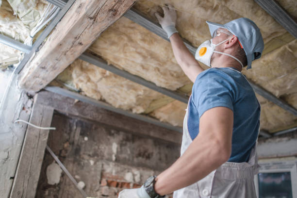 Best Garage Insulation Installation  in Wymore, NE