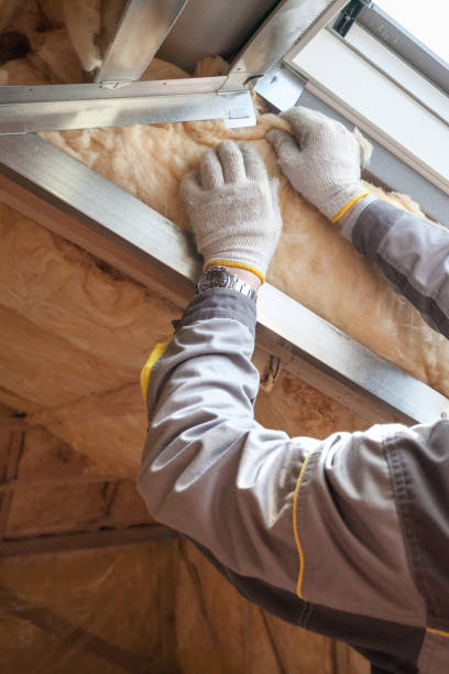 Best Insulation Replacement Services  in Wymore, NE