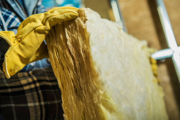Best Spray Foam Insulation  in Wymore, NE