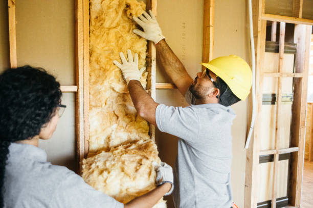 Best Soundproof Insulation Installation  in Wymore, NE