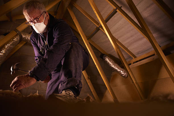 Best Local Insulation Services  in Wymore, NE