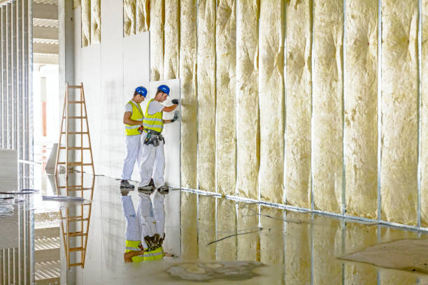 Insulation Repair Services in Wymore, NE